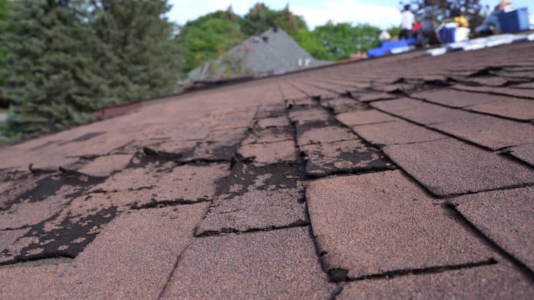 Fast & Reliable Emergency Roof Repairs in Williamsburg, IA