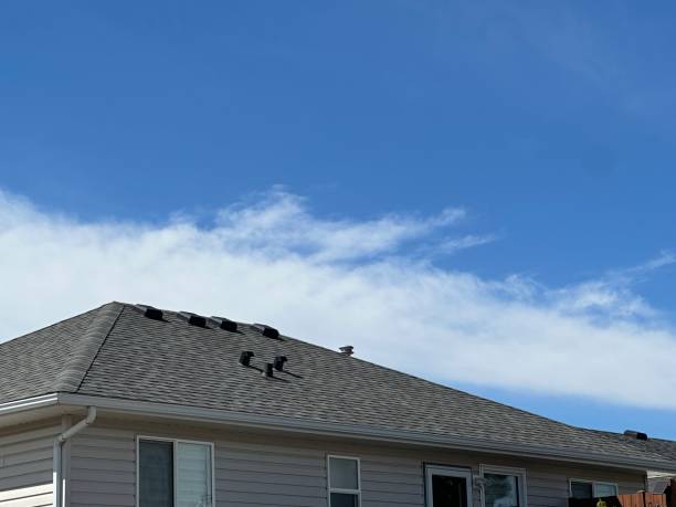 Best Roof Ventilation Installation  in Willmsburg, IA